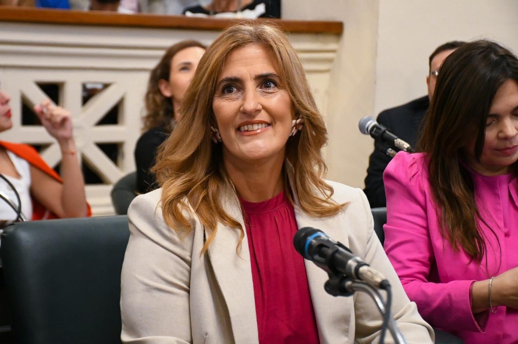 Cecilia Gortari en la Cámara de Diputados